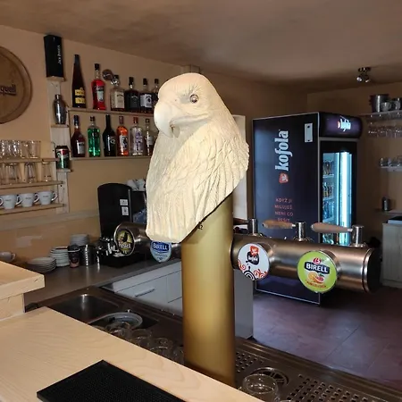 ゲストハウス Orlov 4*