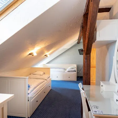 ゲストハウス Orlov Příbram