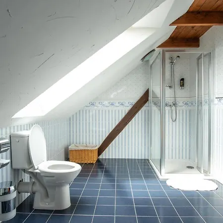 ゲストハウス Orlov 4*