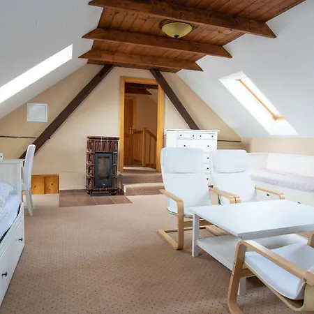 ゲストハウス Orlov 4*