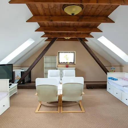 Orlov ゲストハウス Příbram