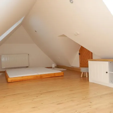 ゲストハウス Orlov 4*