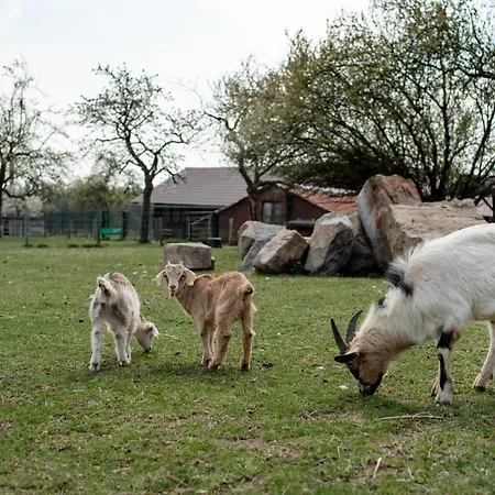 ゲストハウス Orlov 4*