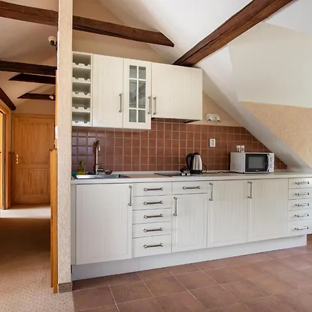 ゲストハウス Orlov 4*