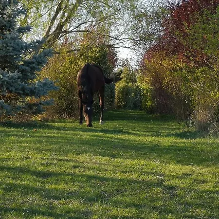 ゲストハウス Orlov Příbram