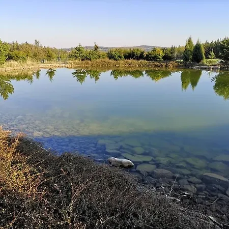 Orlov ゲストハウス 4*